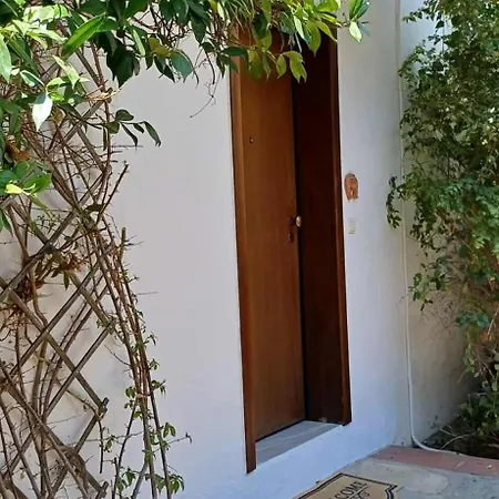 Tassos House Case de vacanță